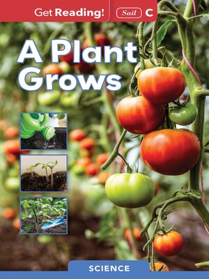 cover image of A Plant Grows